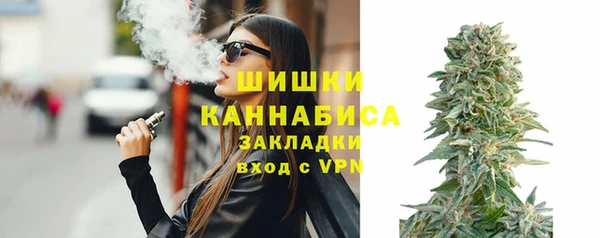 прущие грибы Нягань