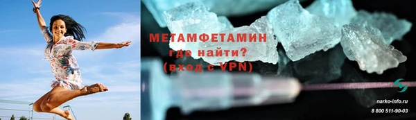 прущие грибы Нягань