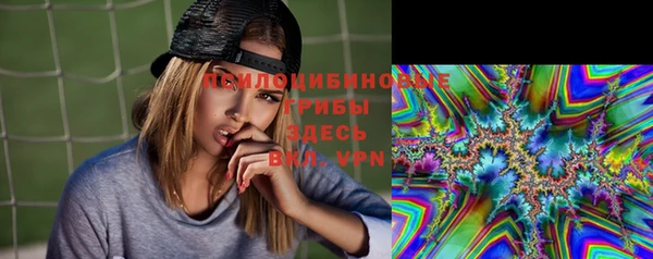 прущие грибы Нягань